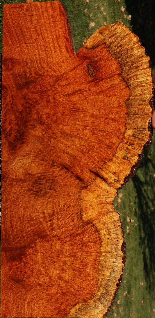 Figured Afzelia Live Edge Lumber