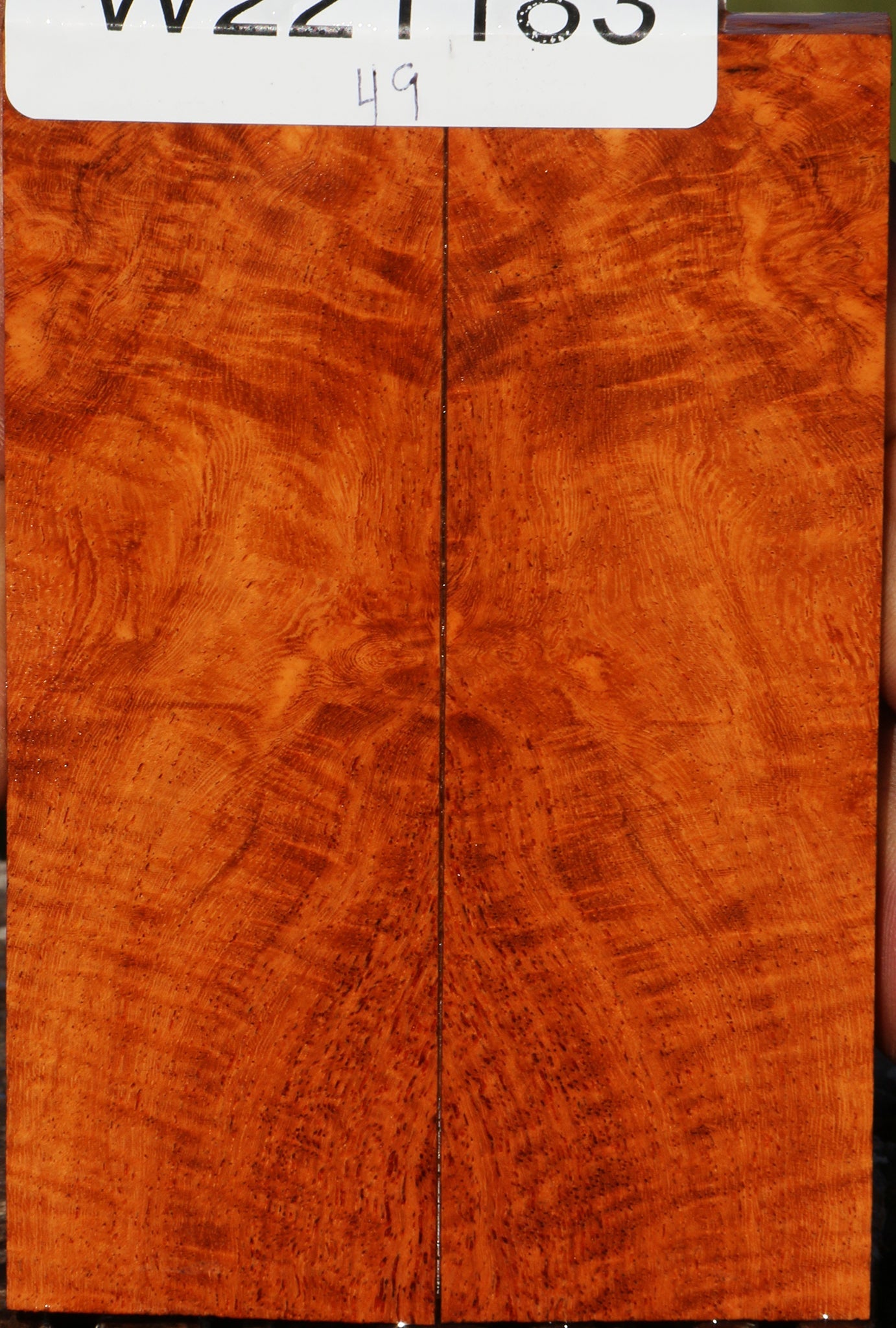 Figured Afzelia Bookmatched Knife Scales