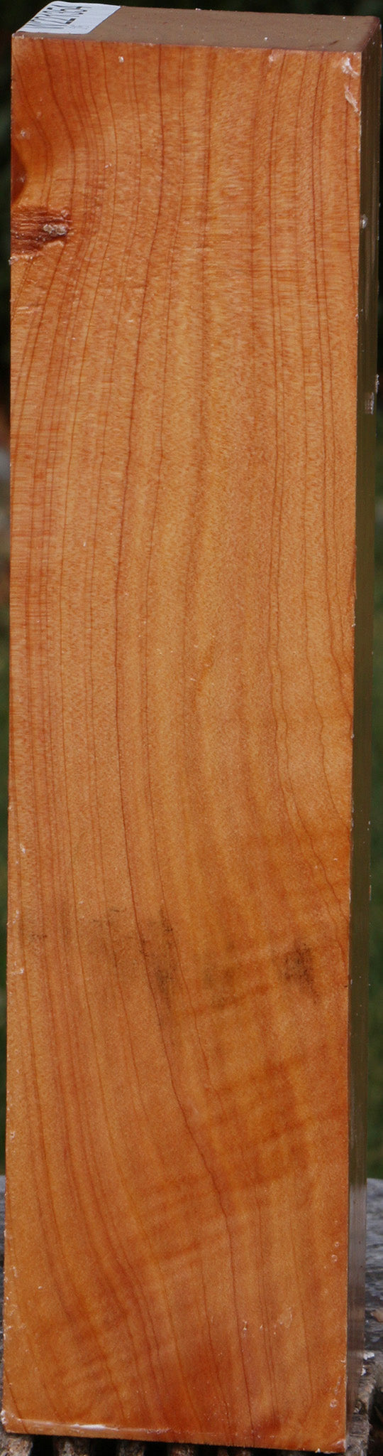 Extra Fancy Monterey Cypress Peppermill