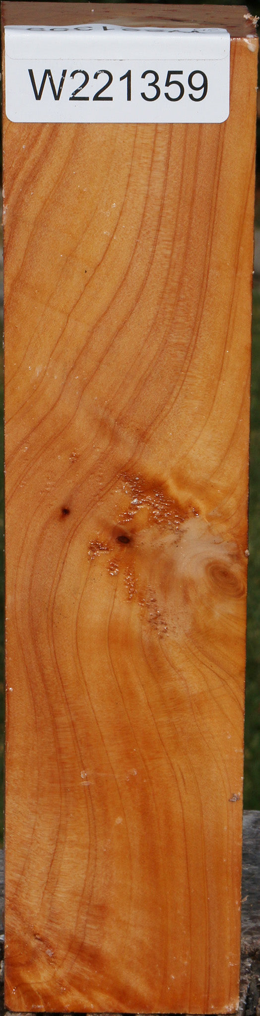 Monterey Cypress Peppermill