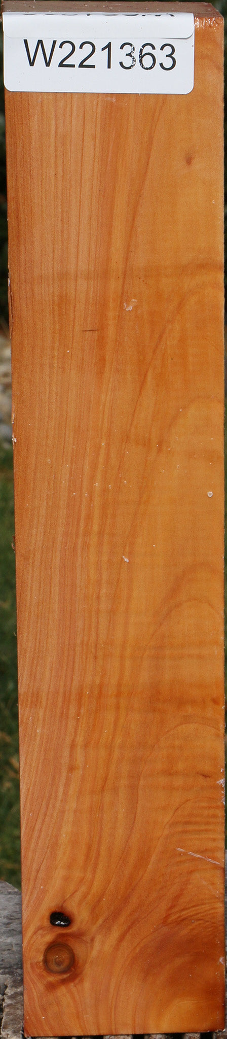 Monterey Cypress Peppermill