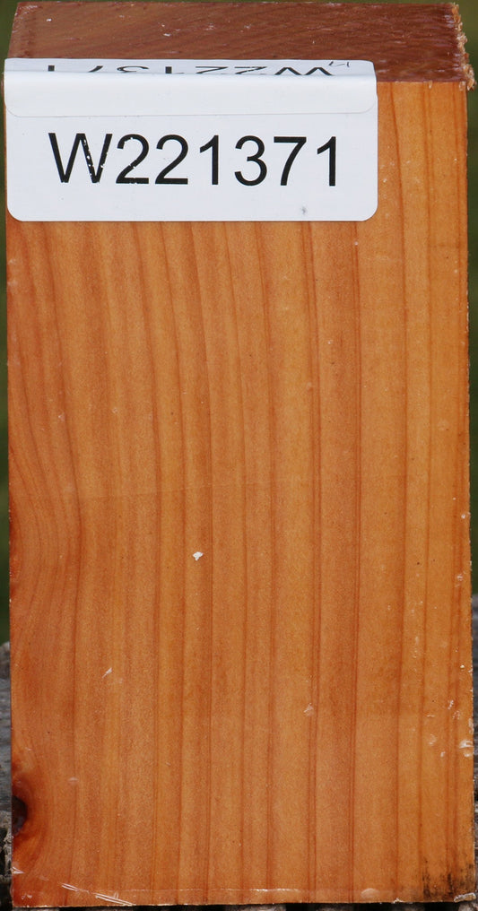 Monterey Cypress Turning Square