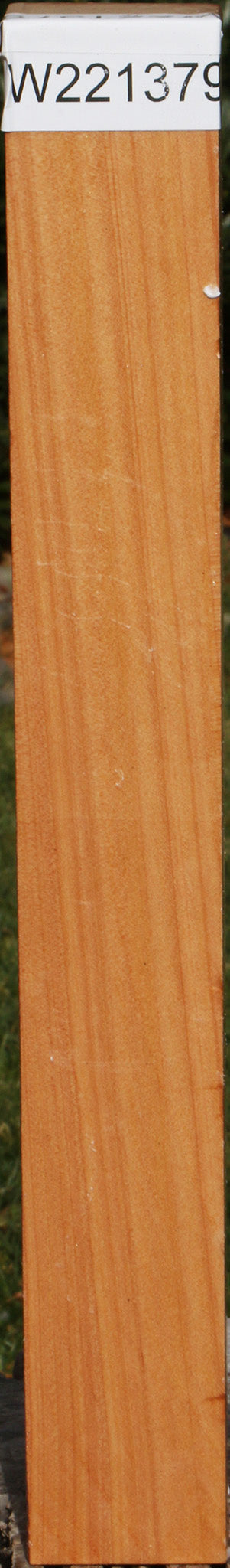 Monterey Cypress Turning Square