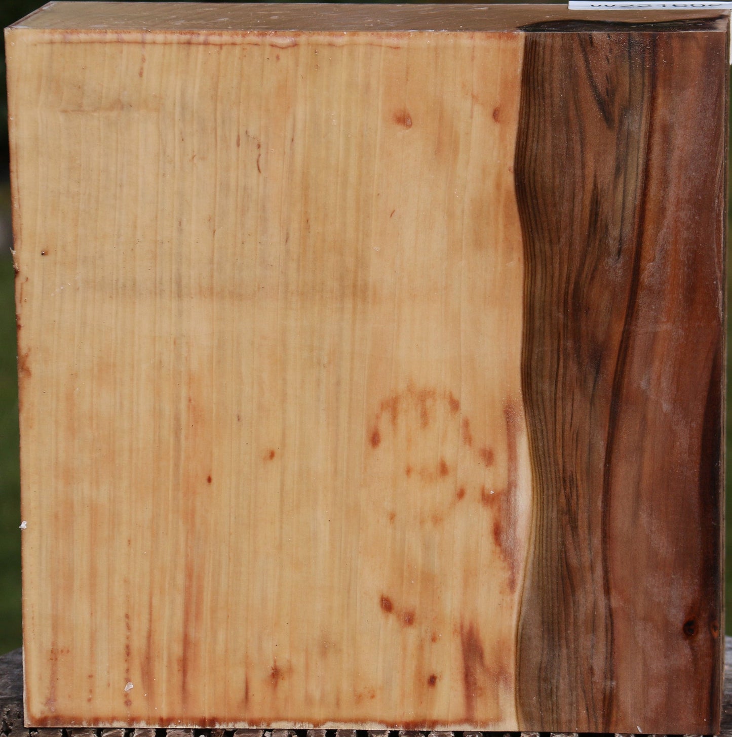 Liquid Amber Bowl Blank