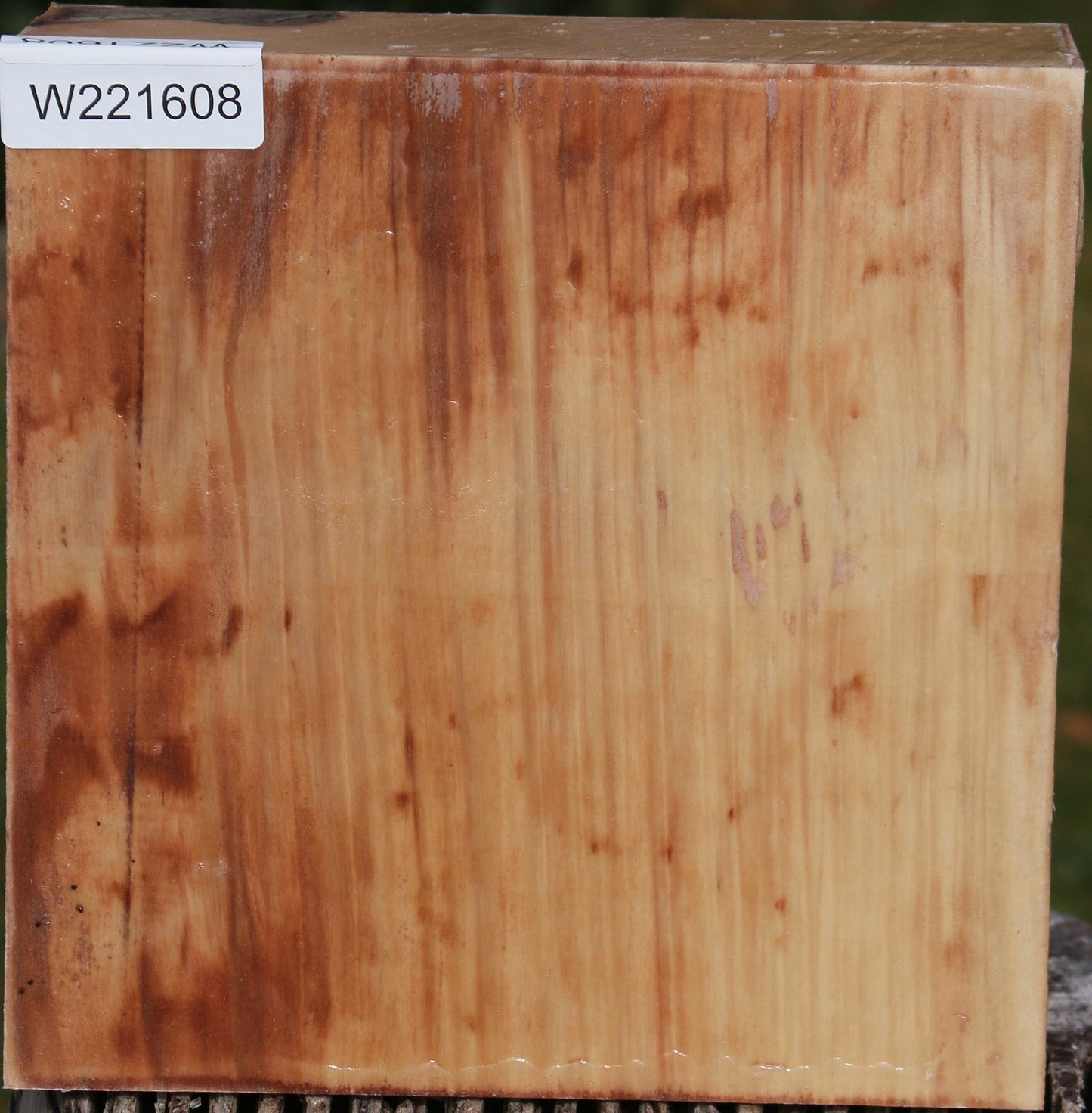 Liquid Amber Bowl Blank