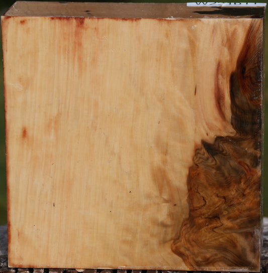 Liquid Amber Bowl Blank