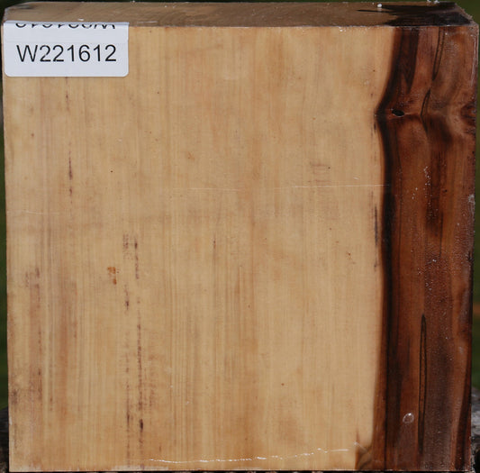 Liquid Amber Bowl Blank