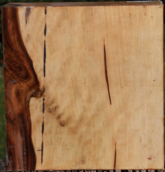 Liquid Amber Bowl Blank