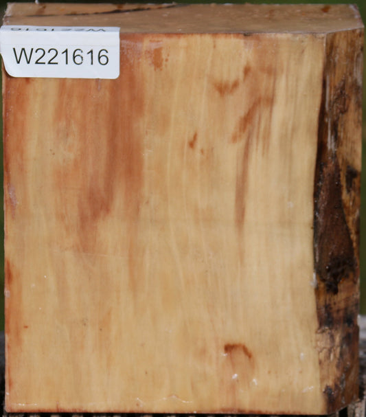 Liquid Amber Bowl Blank