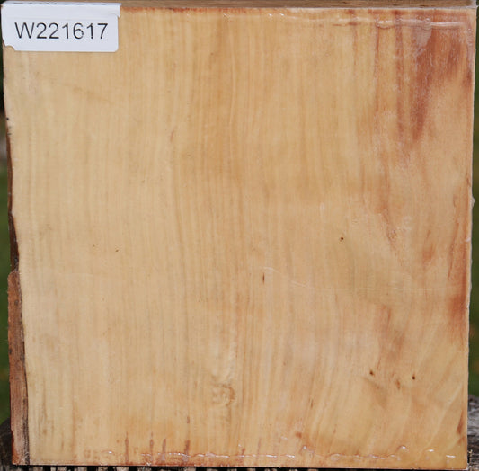 Liquid Amber Bowl Blank