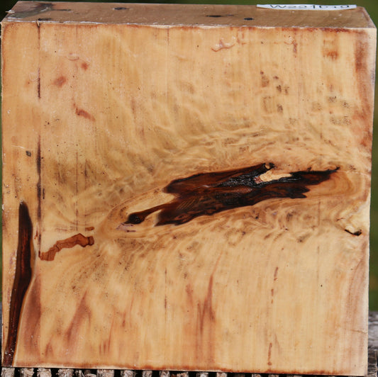 Liquid Amber Bowl Blank