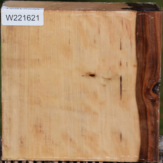 Liquid Amber Bowl Blank