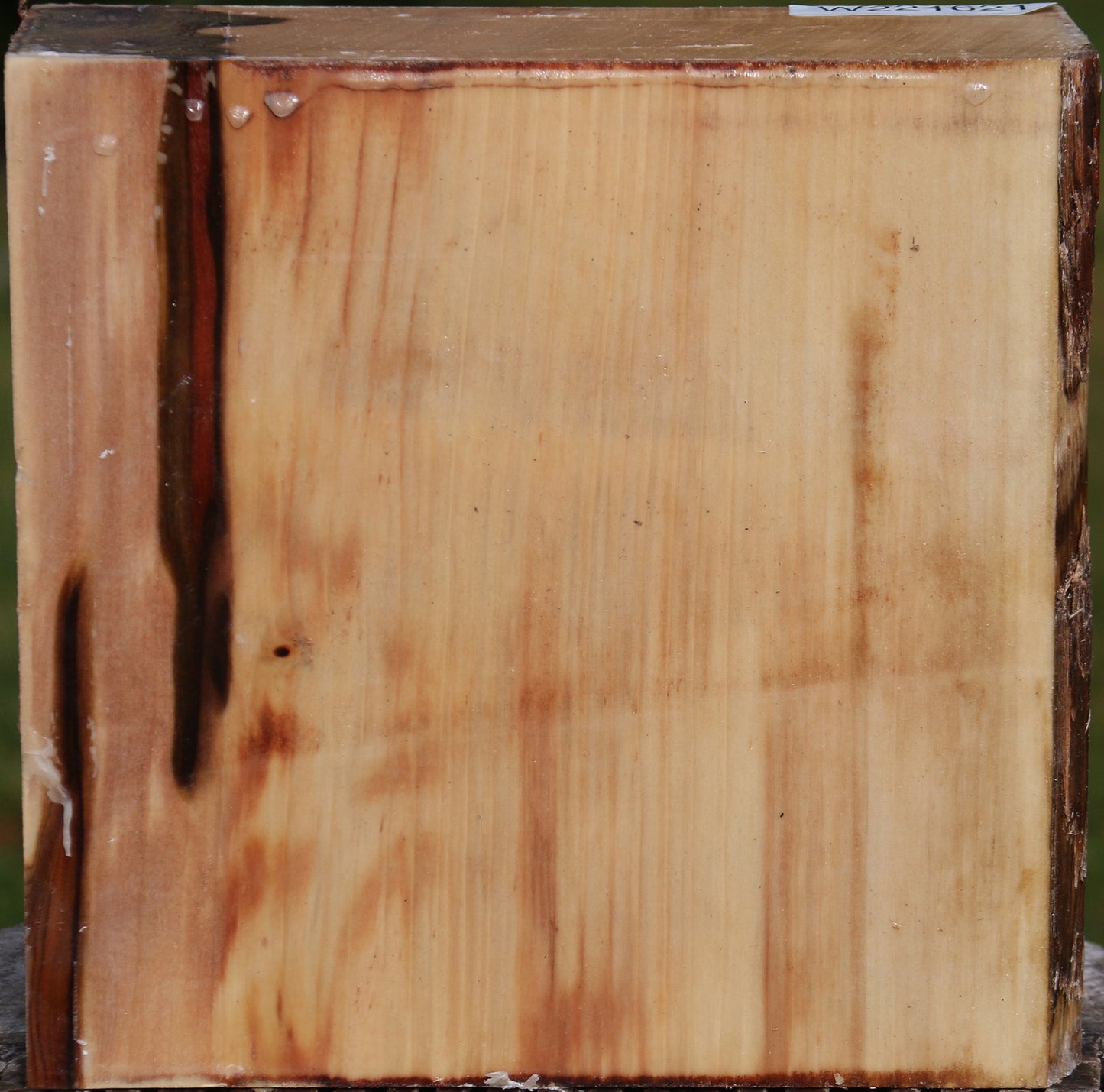 Liquid Amber Bowl Blank