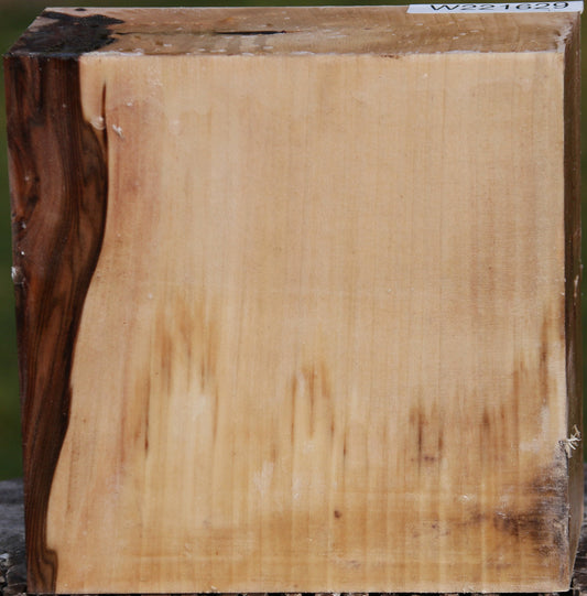 Liquid Amber Bowl Blank