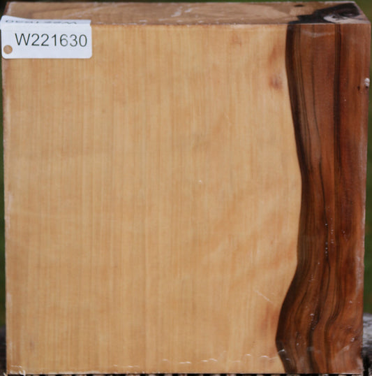 Liquid Amber Bowl Blank