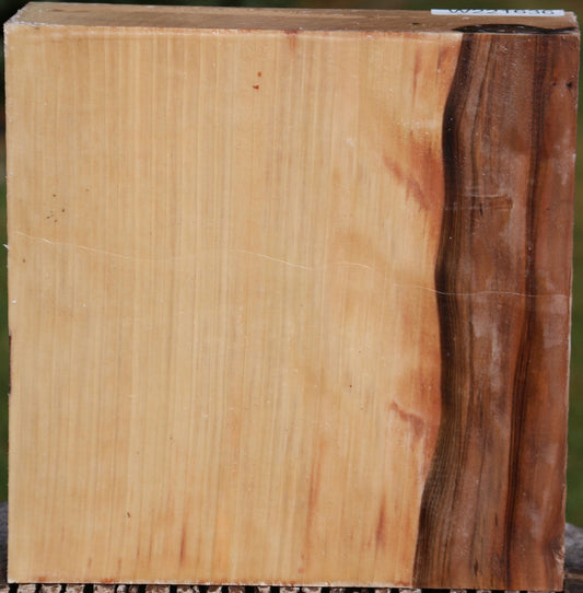 Liquid Amber Bowl Blank