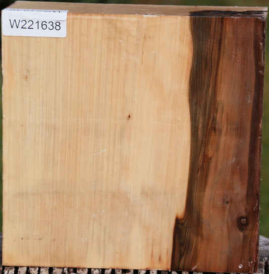 Liquid Amber Bowl Blank