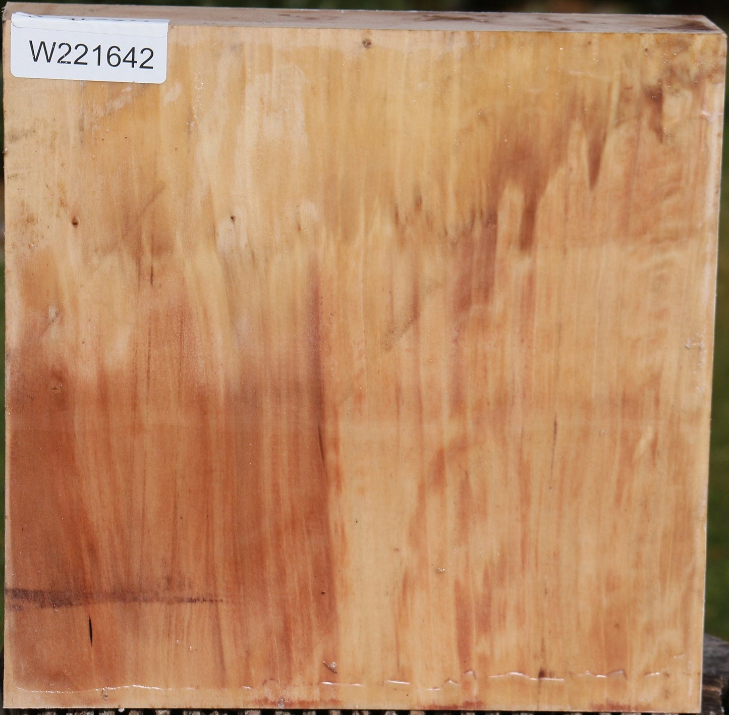 Liquid Amber Bowl Blank