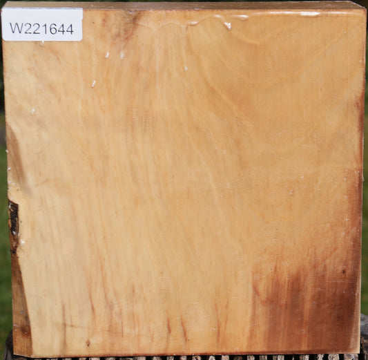 Liquid Amber Bowl Blank