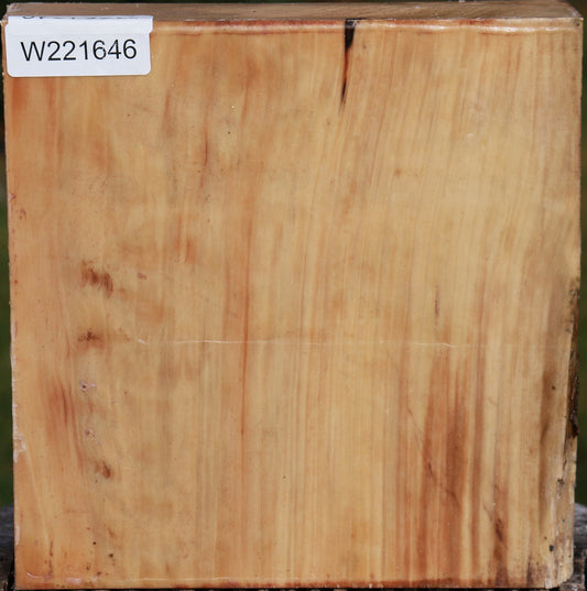 Liquid Amber Bowl Blank