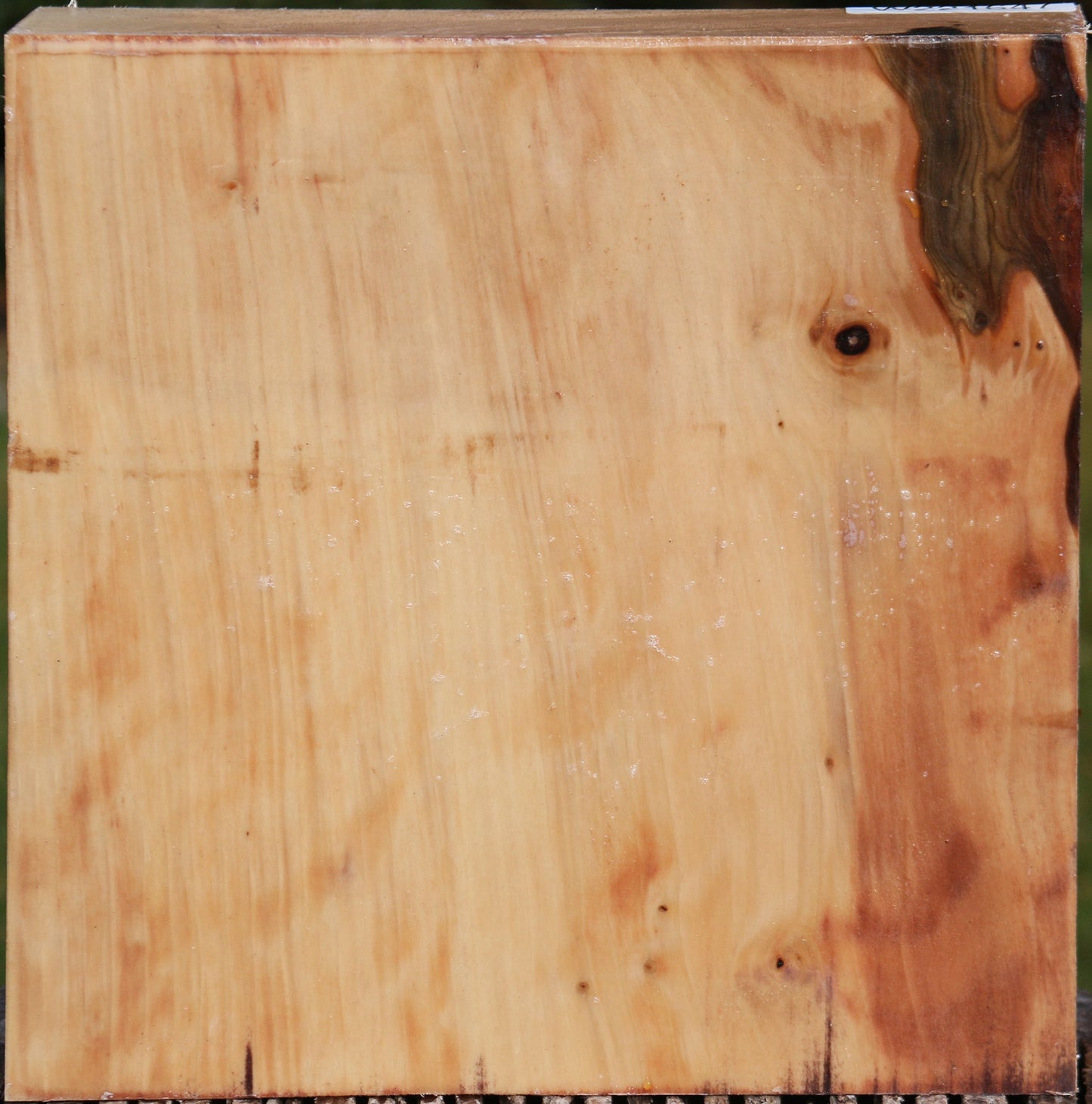 Liquid Amber Bowl Blank