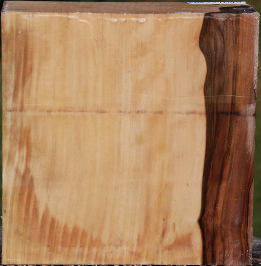 Liquid Amber Bowl Blank