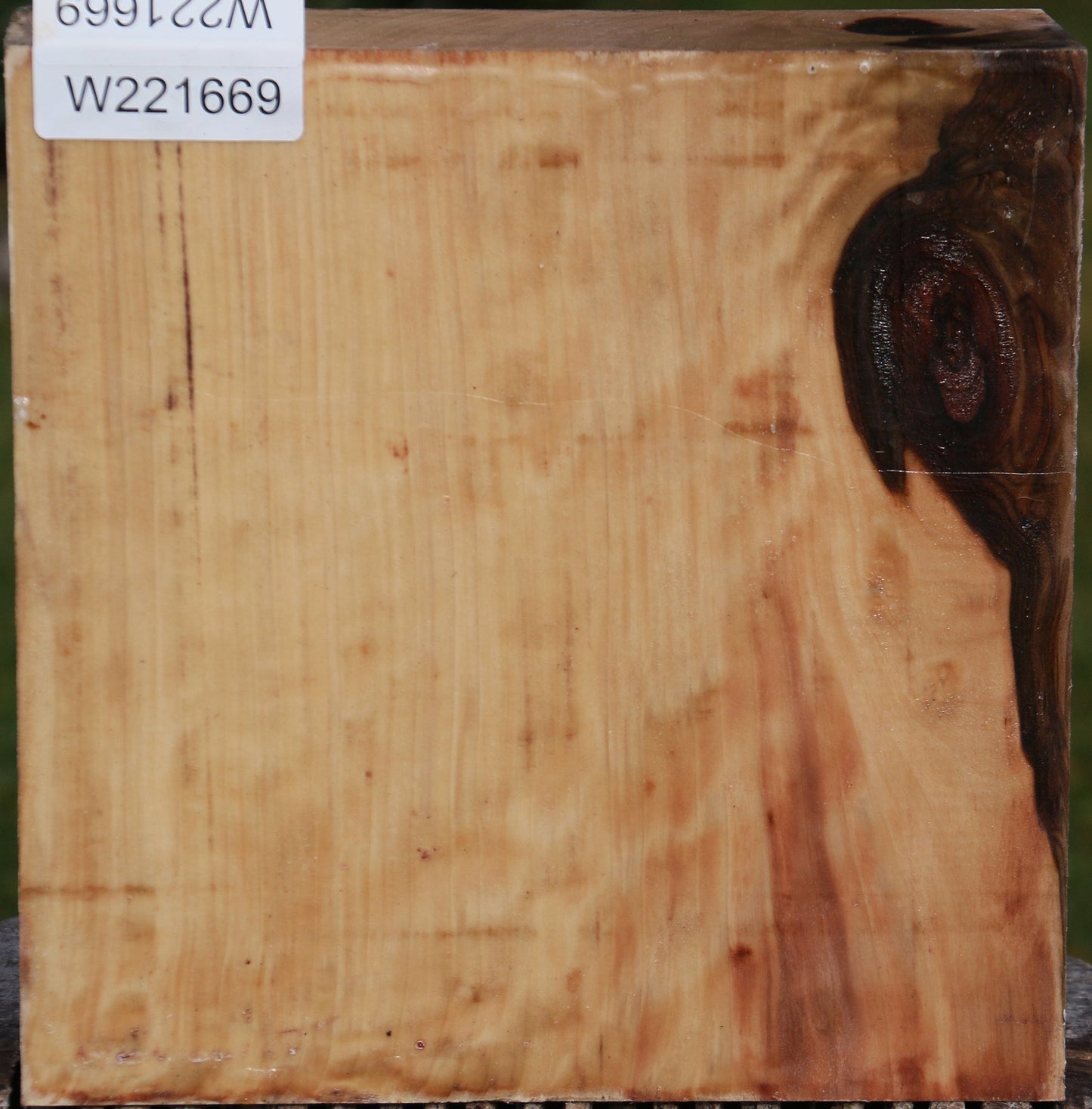 Liquid Amber Bowl Blank