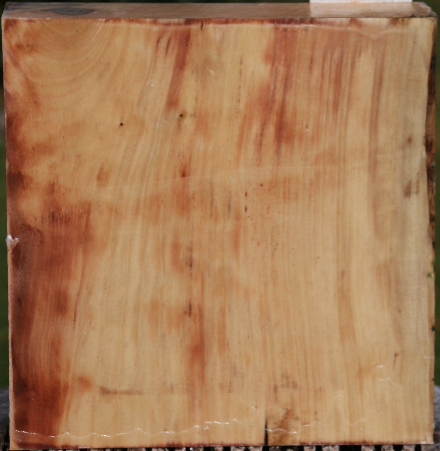 Liquid Amber Bowl Blank