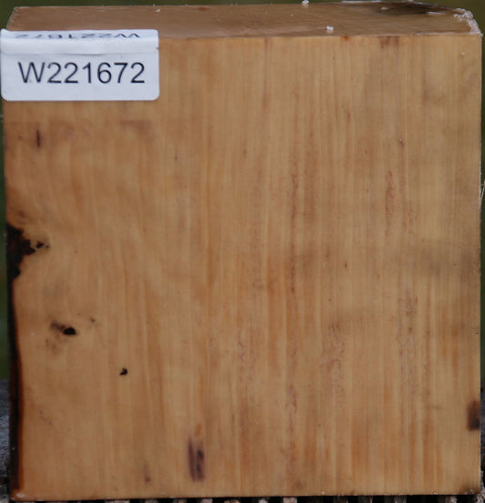 Liquid Amber Bowl Blank