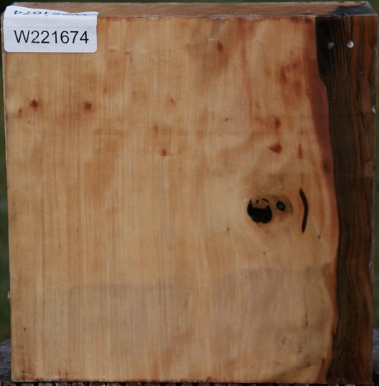 Liquid Amber Bowl Blank