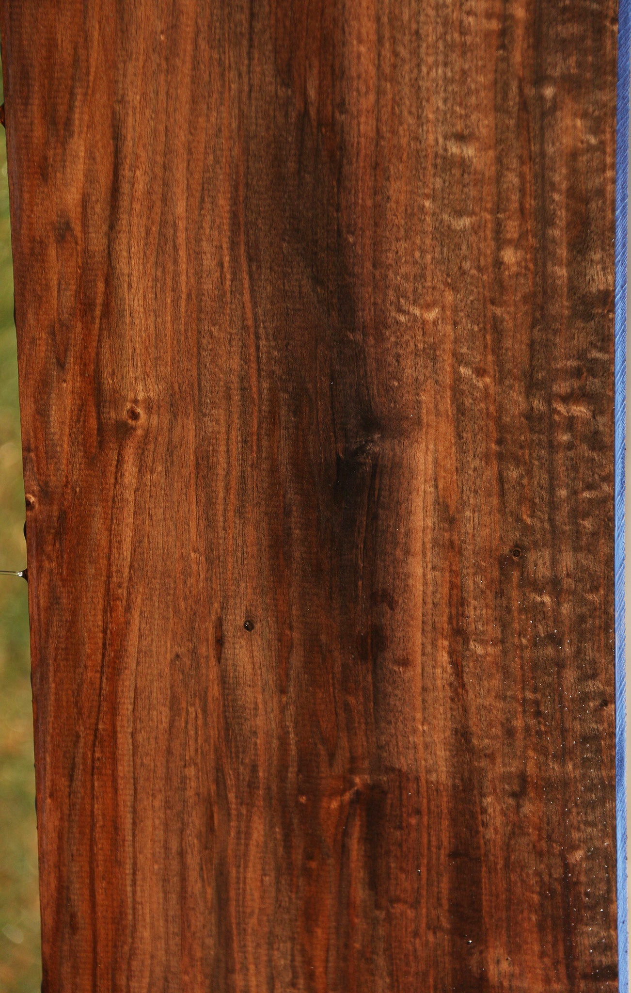 Figured Fiddleback Claro Walnut Lumber