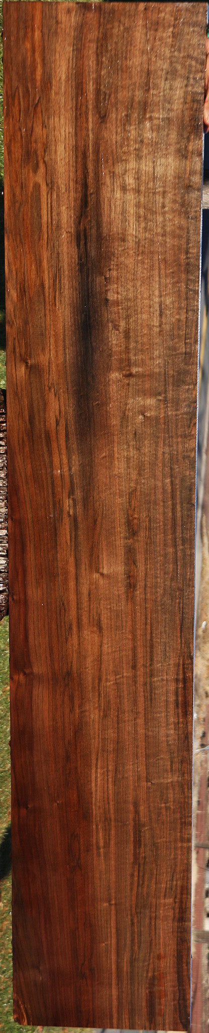 Figured Fiddleback Claro Walnut Lumber
