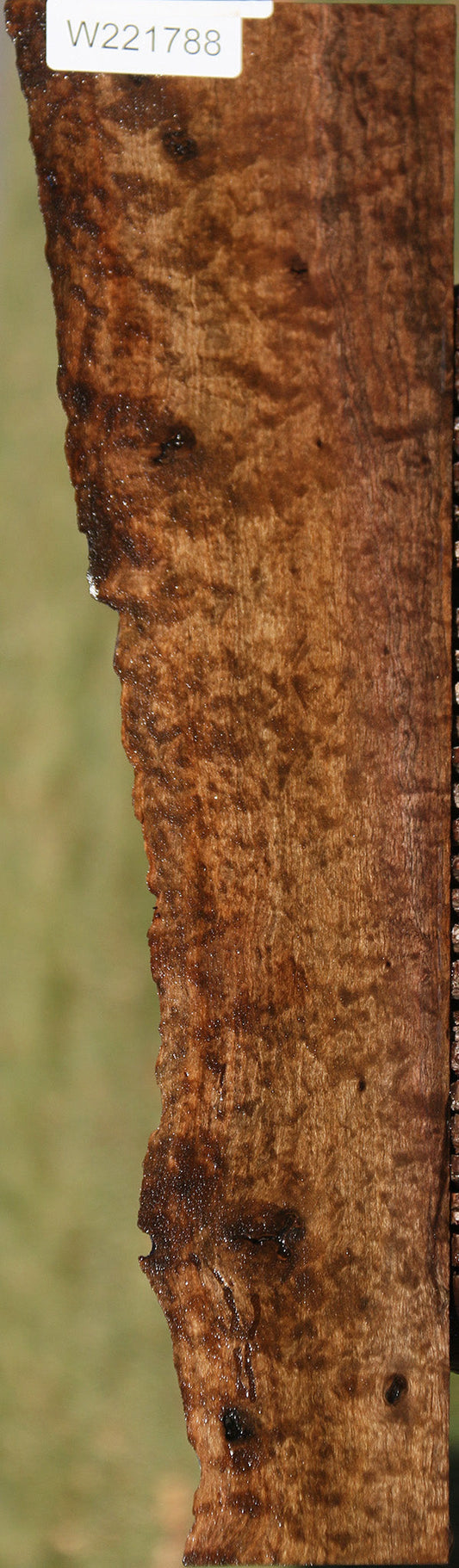 Extra Fancy Quilted Rustic Claro Walnut Live Edge Lumber