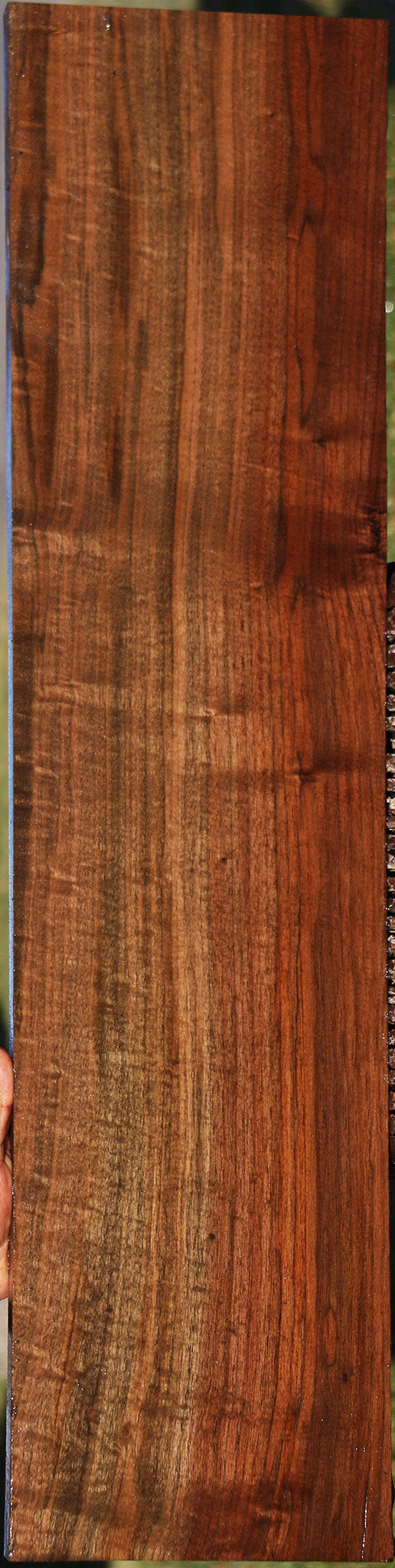 Figured Fiddleback Claro Walnut Lumber