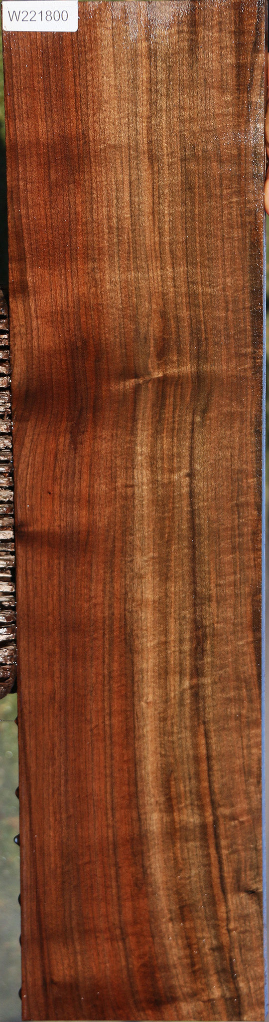 Figured Fiddleback Claro Walnut Lumber