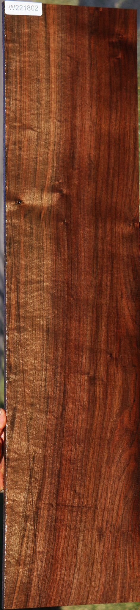 Figured Fiddleback Claro Walnut Micro Lumber