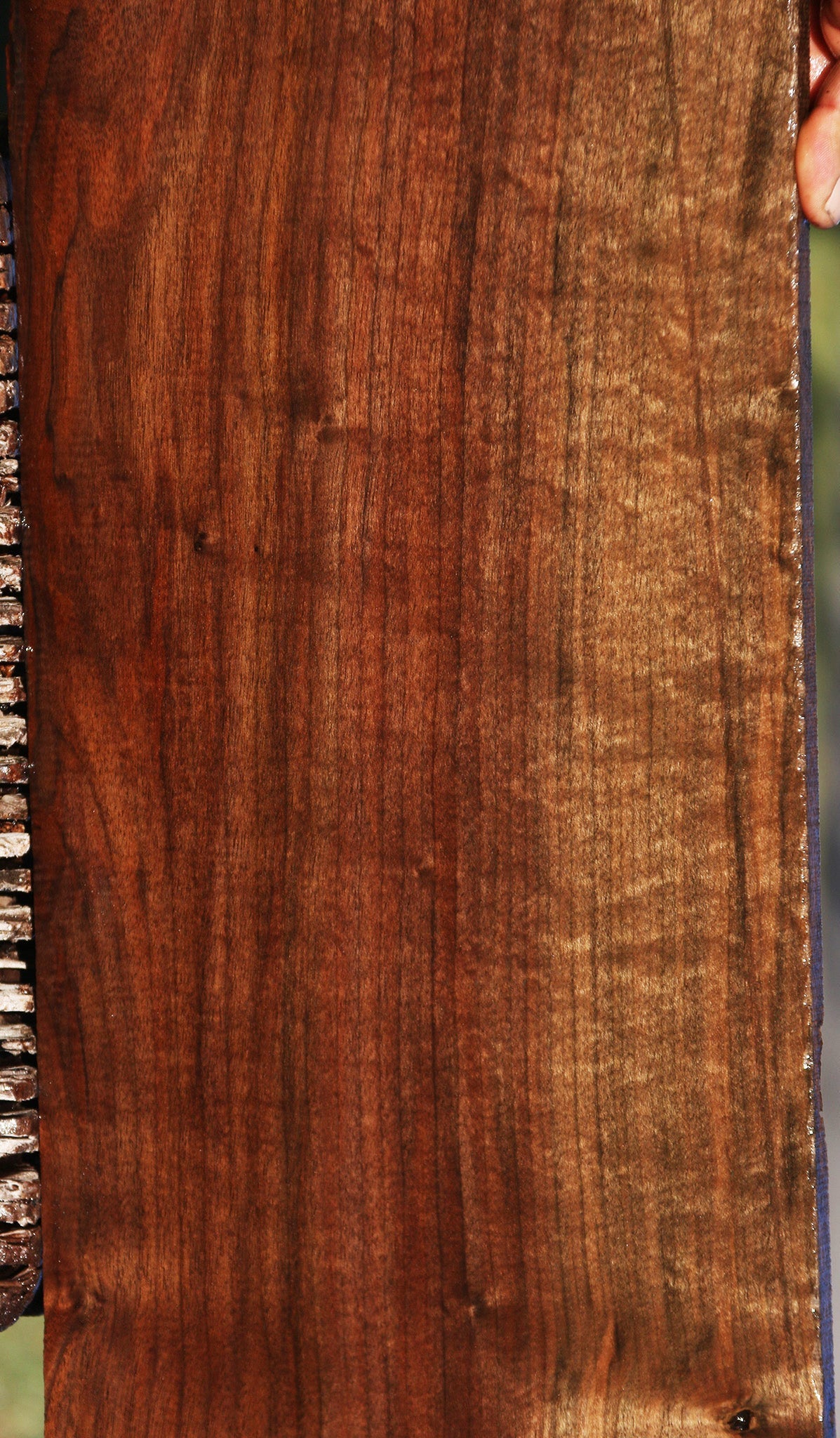 Figured Fiddleback Claro Walnut Micro Lumber