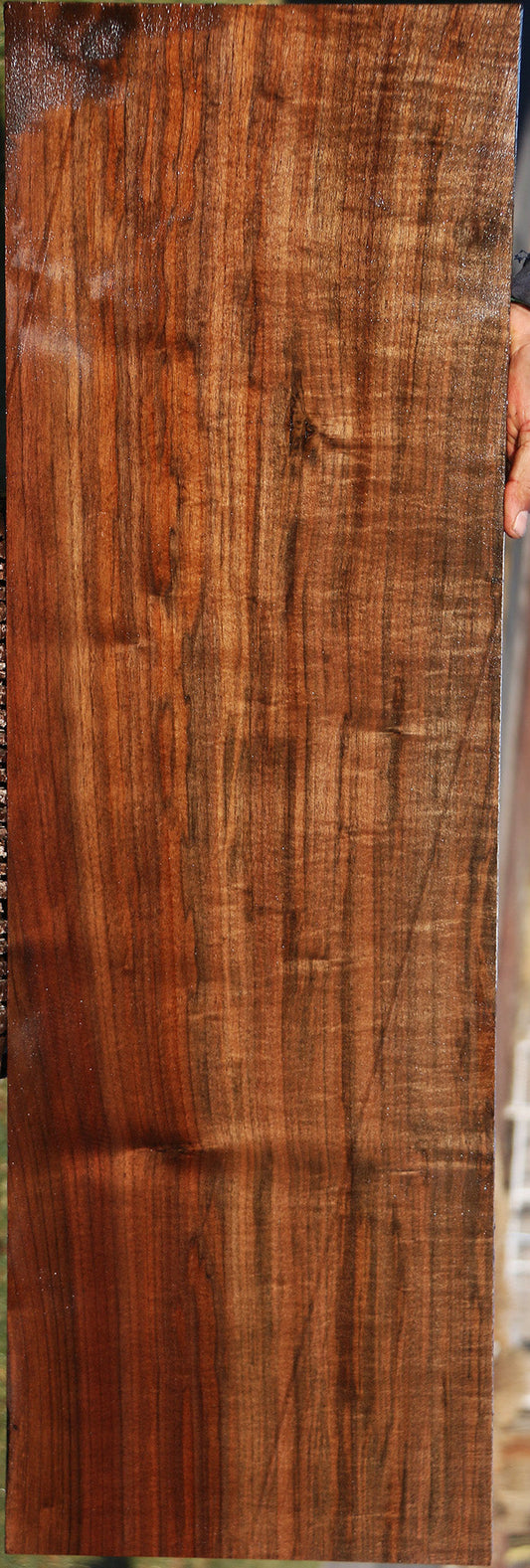 Figured Fiddleback Quartersawn Claro Walnut Lumber