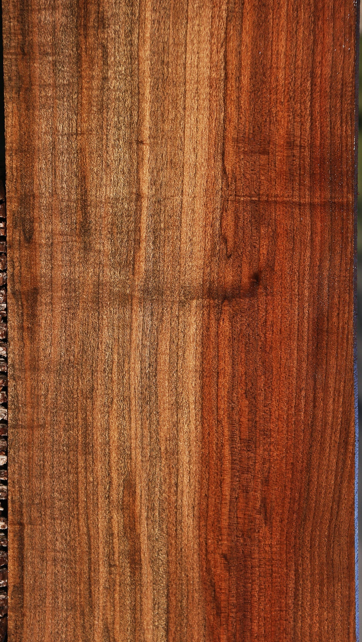 Figured Fiddleback Claro Walnut Lumber
