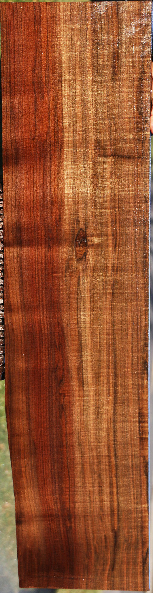 Figured Fiddleback Claro Walnut Lumber