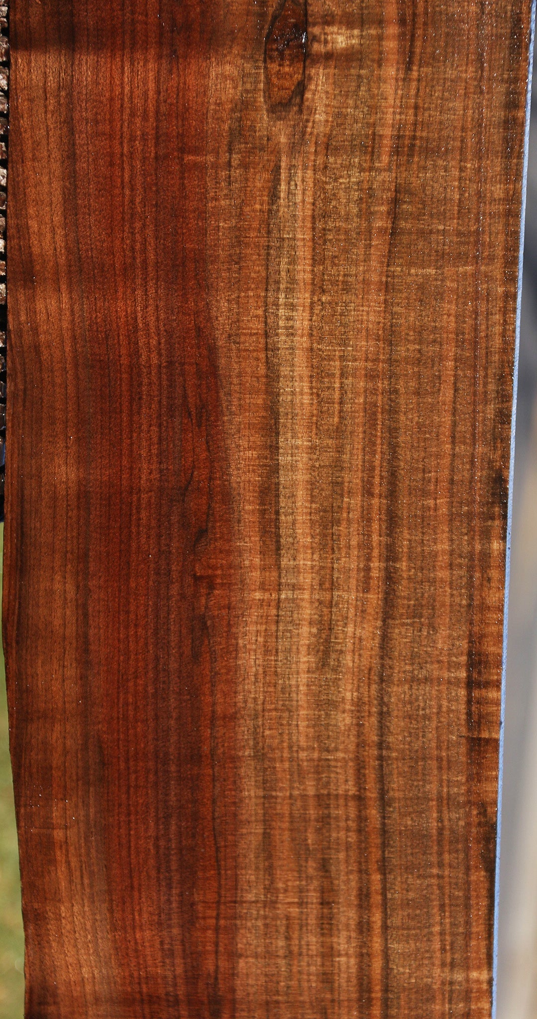 Figured Fiddleback Claro Walnut Lumber – Cook Woods