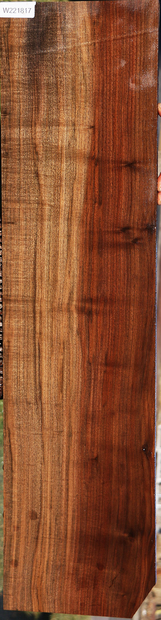 Figured Fiddleback Claro Walnut Lumber