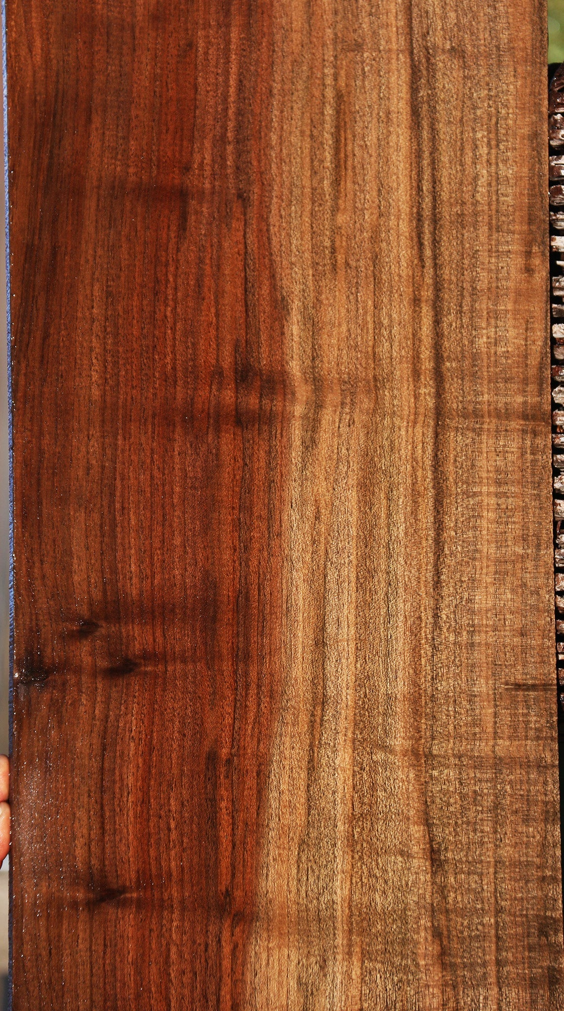 Figured Fiddleback Claro Walnut Lumber