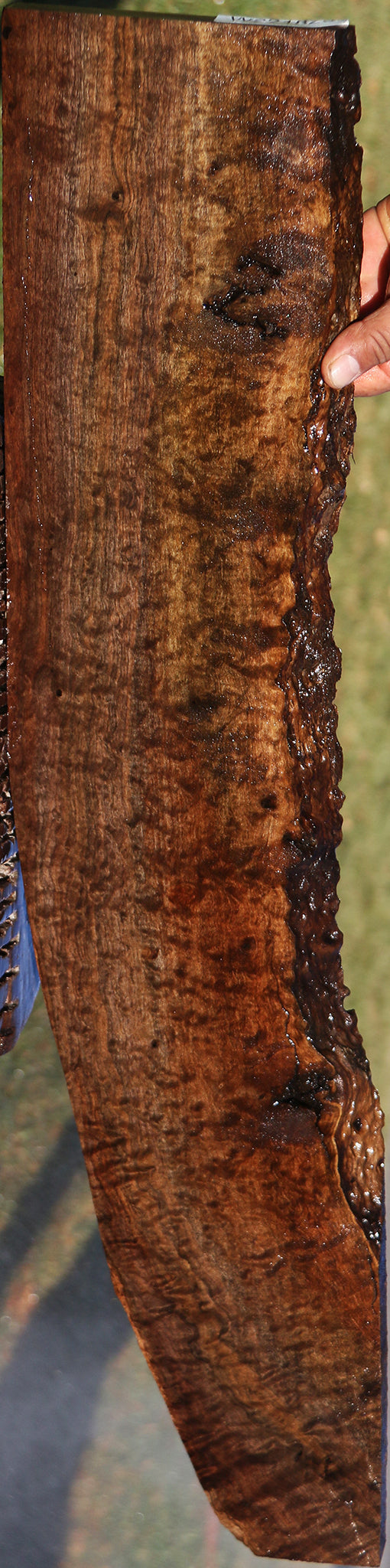 Extra Fancy Quilted Claro Walnut Live Edge Lumber