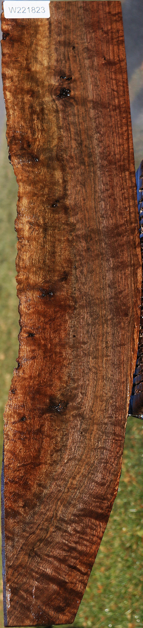 Extra Fancy Quilted Claro Walnut Live Edge Lumber