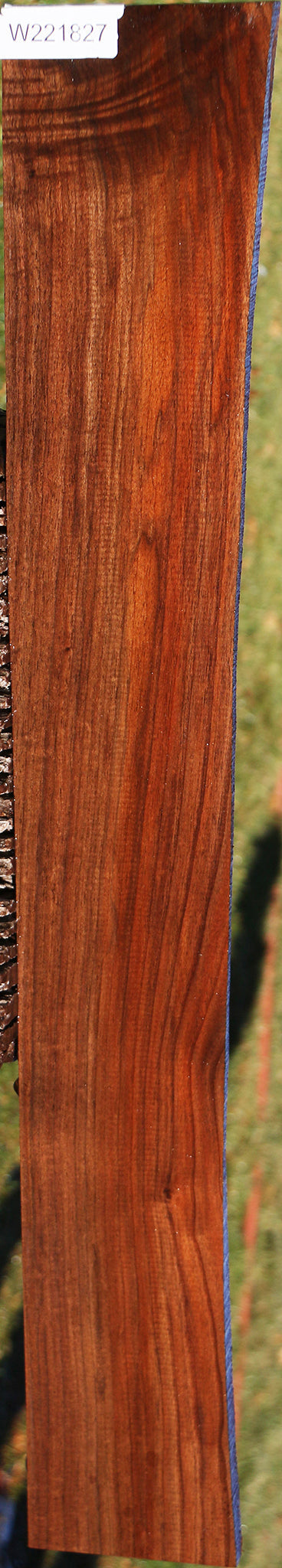 Extra Fancy Fiddleback Claro Walnut Lumber