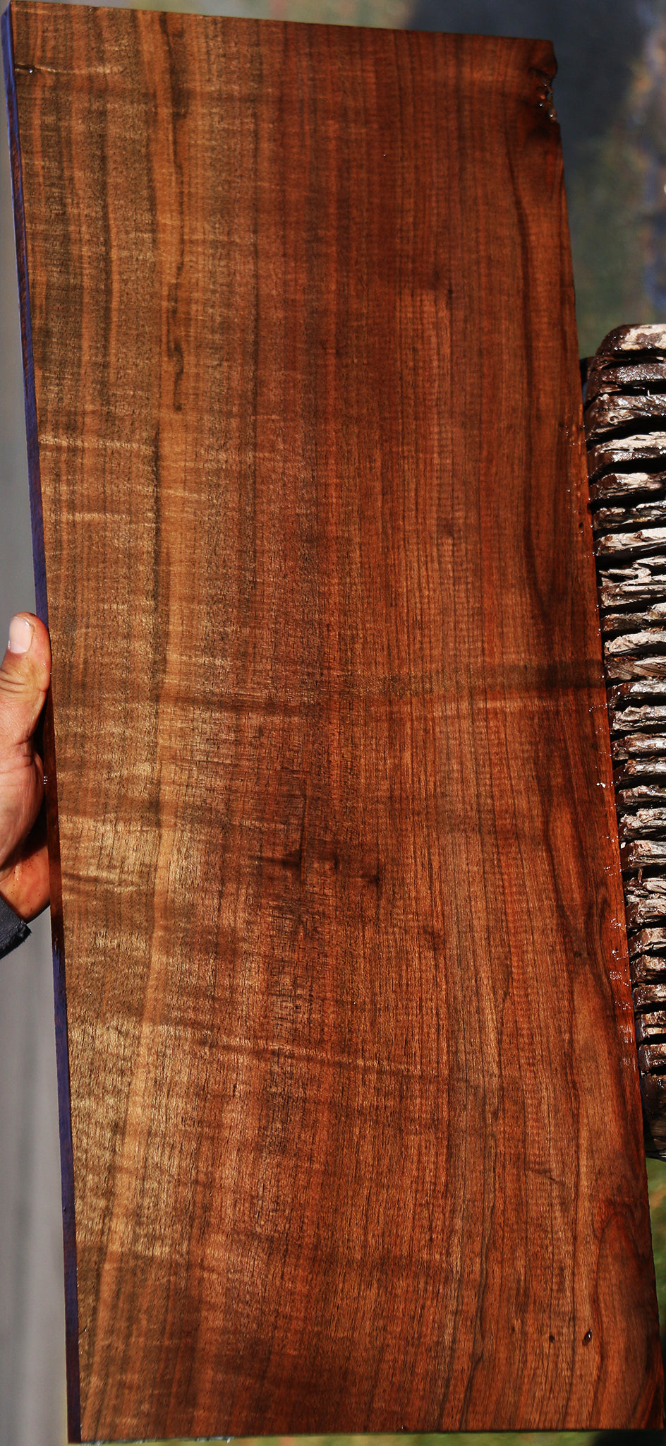 Extra Fancy Fiddleback Claro Walnut Lumber – Cook Woods