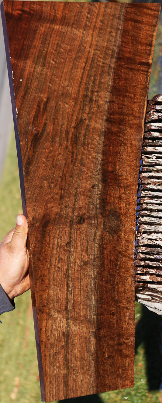 Extra Fancy Quilted Claro Walnut Lumber