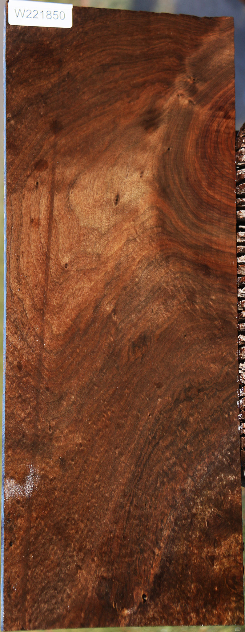 Extra Fancy Claro Walnut Lumber