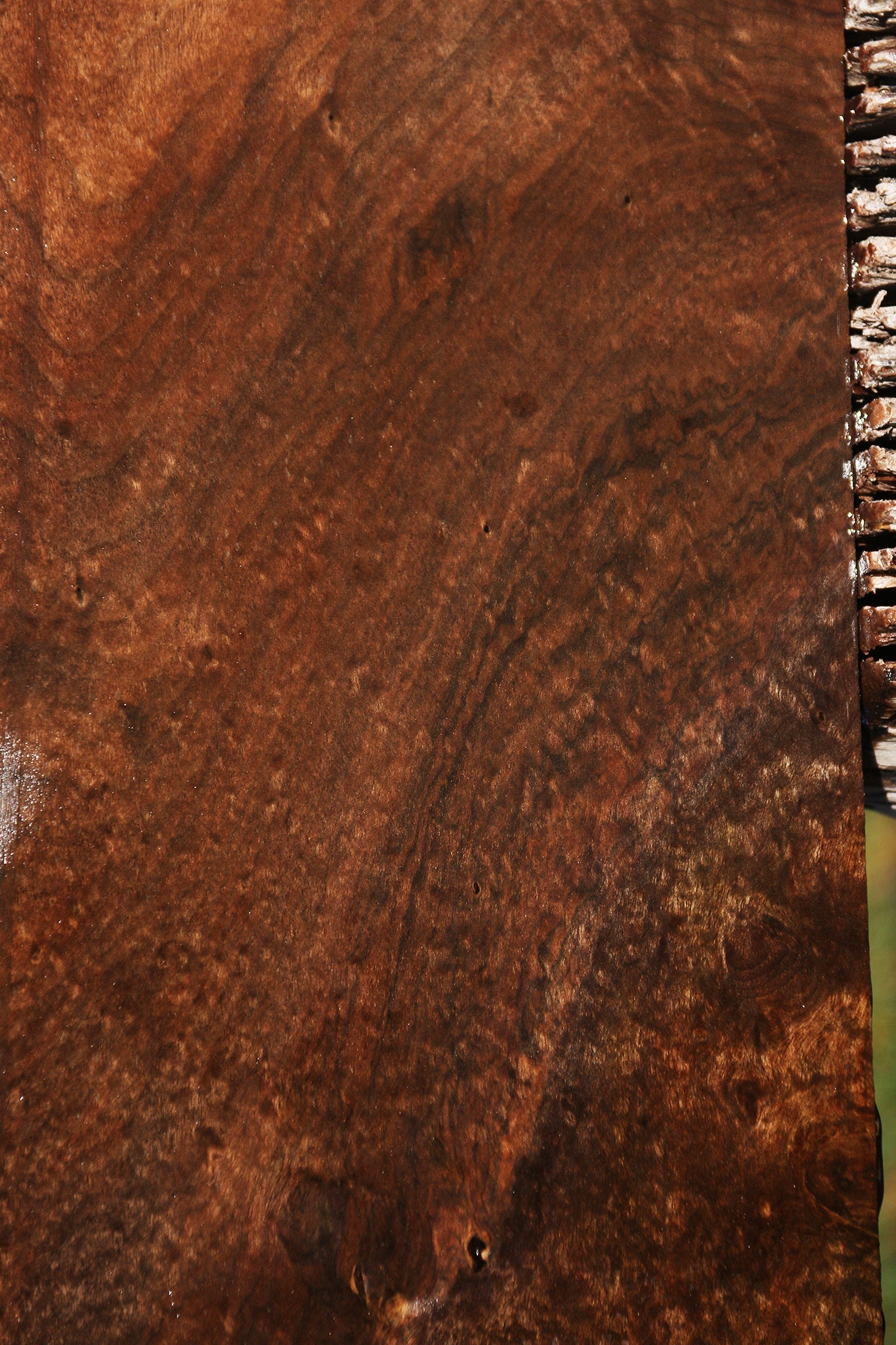 Extra Fancy Claro Walnut Lumber